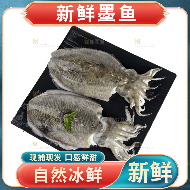 黑板上放着北海墨鱼