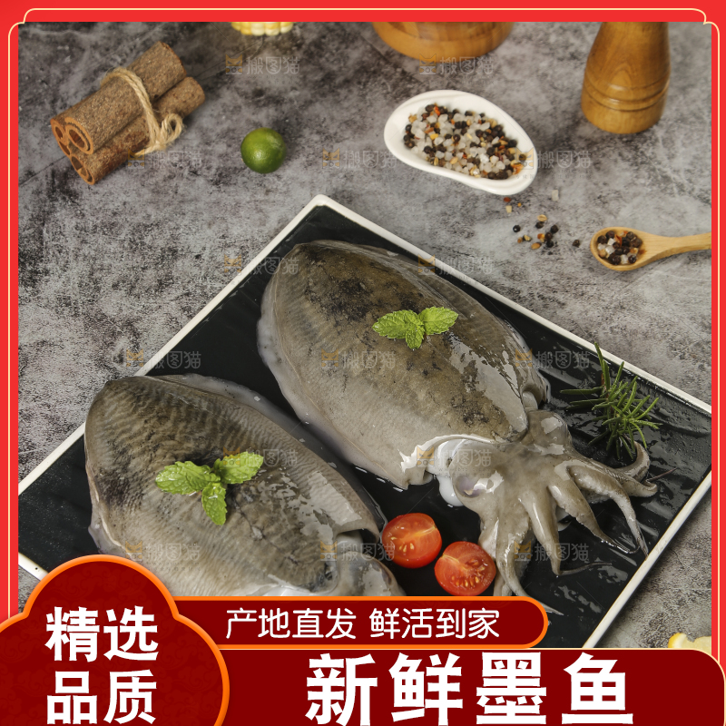 深底上放着墨鱼