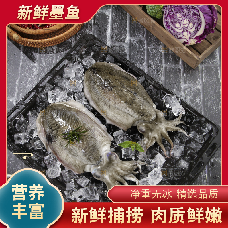 黑底上放着墨鱼