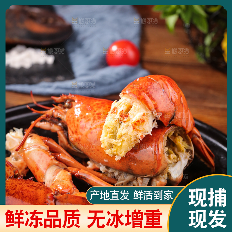 盘子里放着澳洲龙虾
