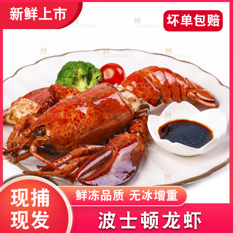 白底上放着一盘澳洲龙虾