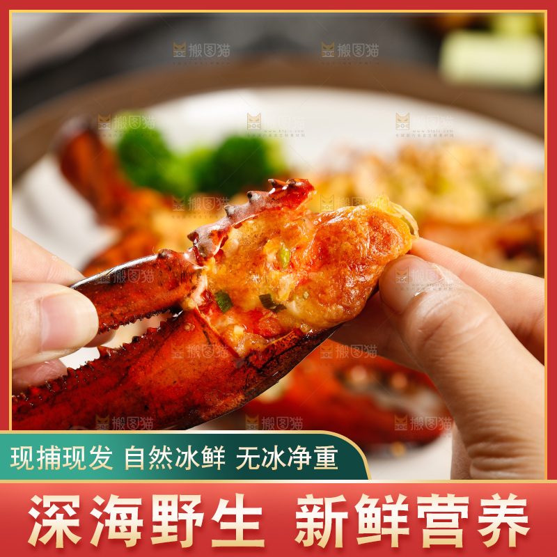 手拿着澳洲龙虾