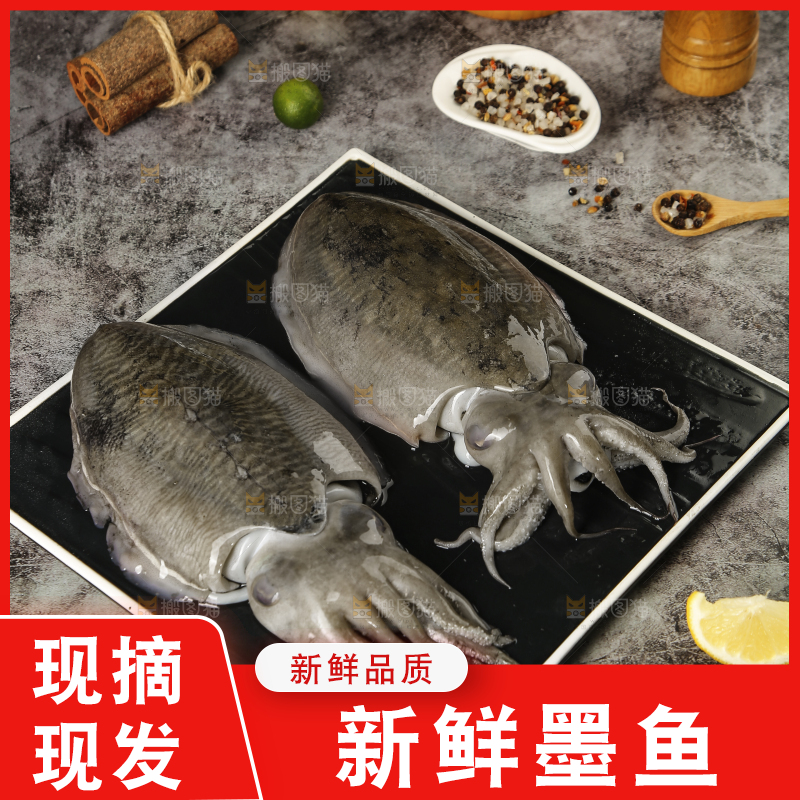 深底上放着墨鱼
