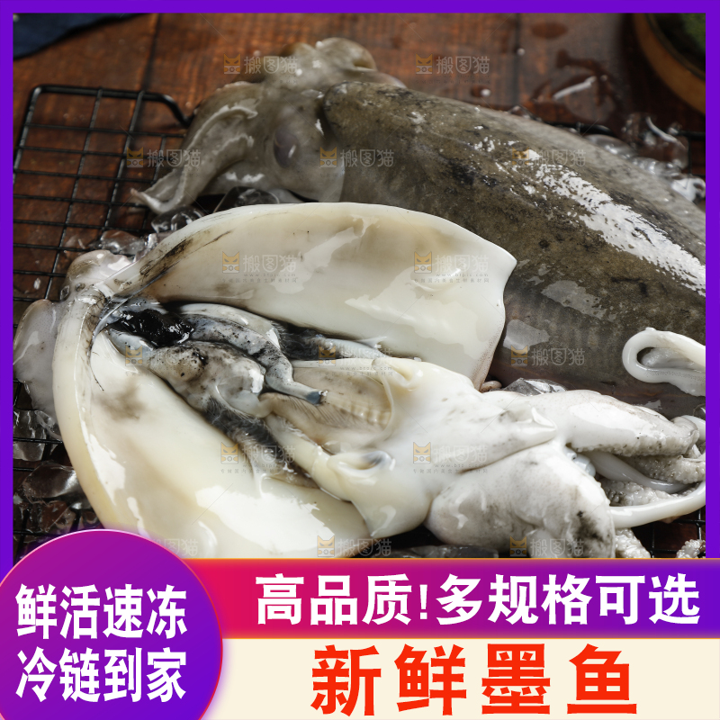 深底上放着北海墨鱼