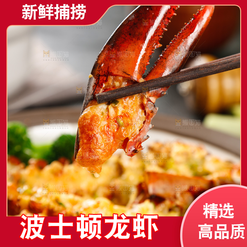 筷子上夹着澳洲龙虾