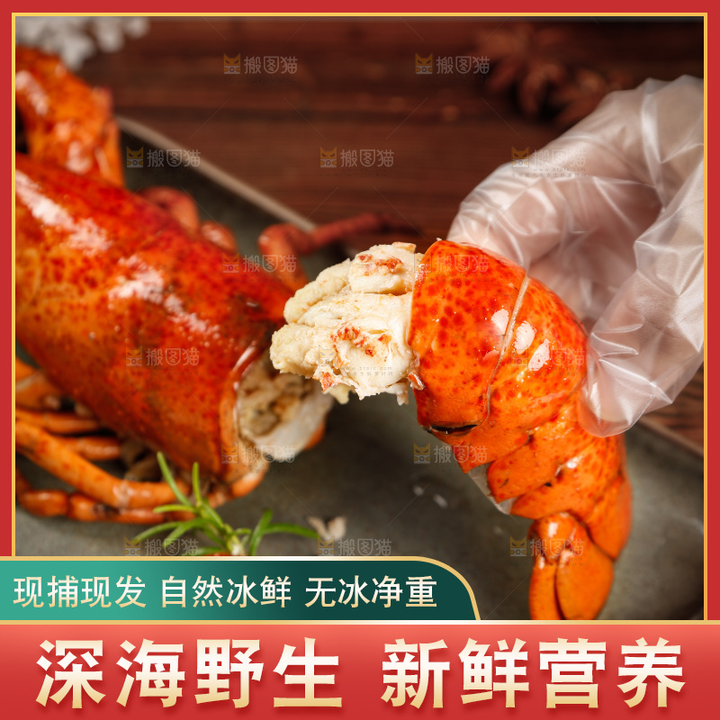 手上拿着波士顿大龙虾