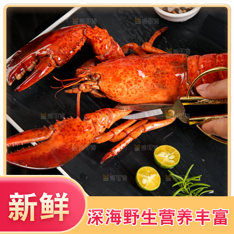 黑底上放着波士顿大龙虾