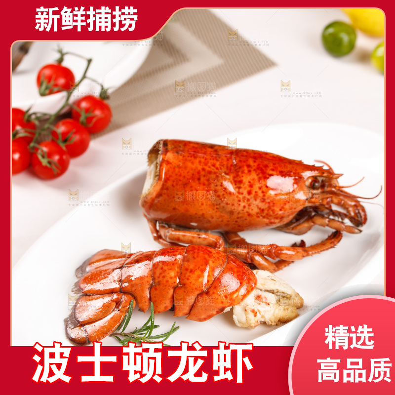 白底上放着一盘波士顿大龙虾