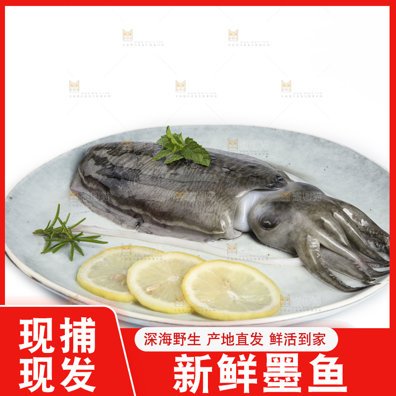 白底上放着一盘墨鱼