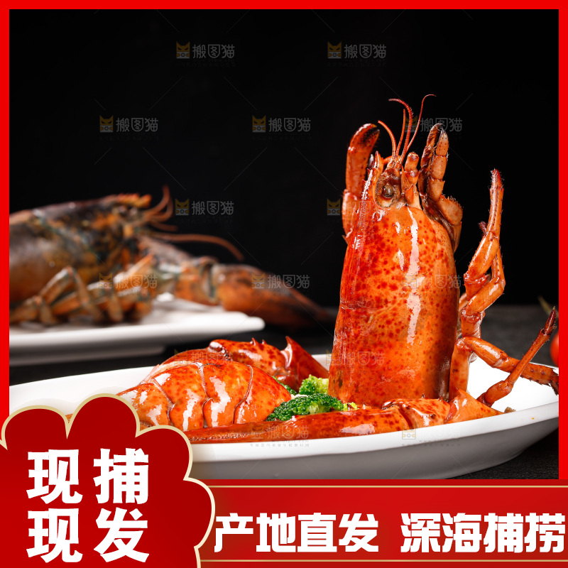黑底上放着一盘波士顿龙虾