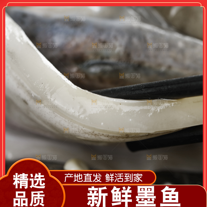 新鲜的野生大墨鱼