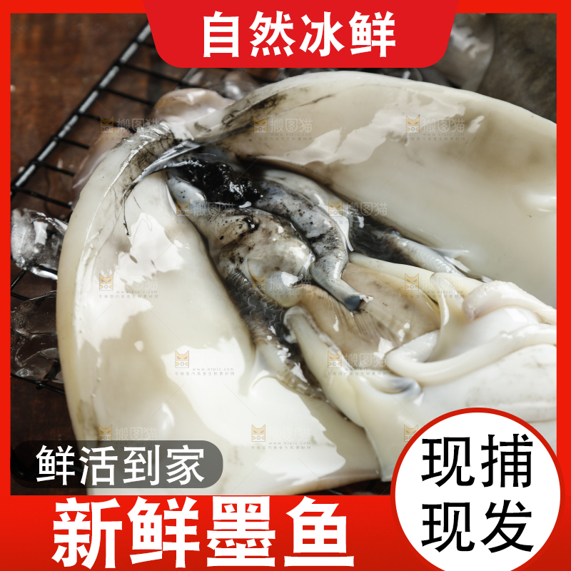 深底上放着北海墨鱼