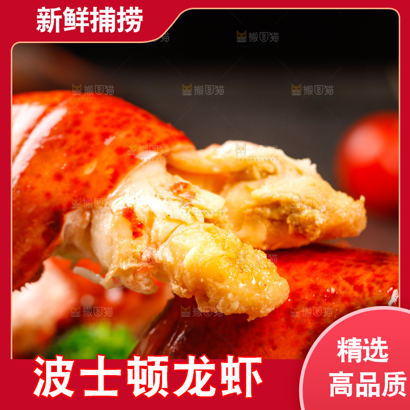 波士顿大龙虾肉