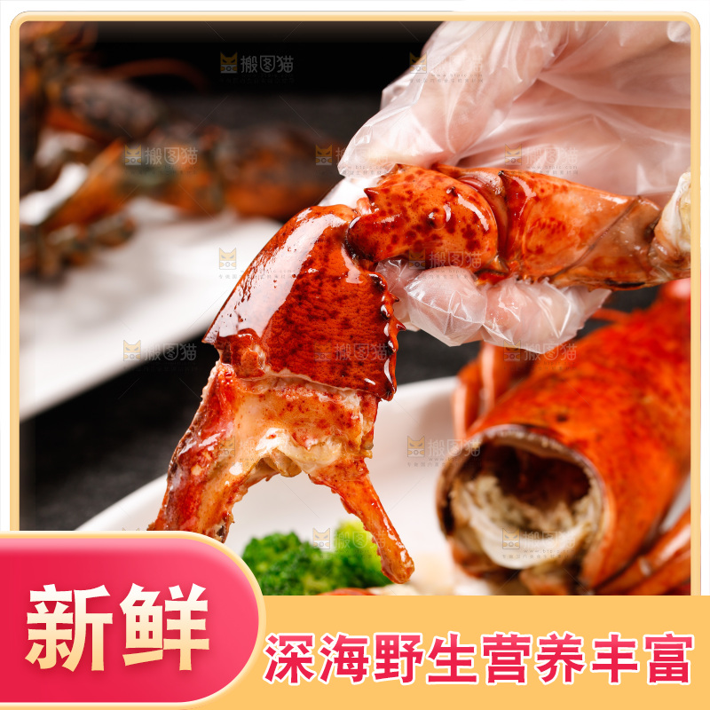 手上拿着澳洲龙虾