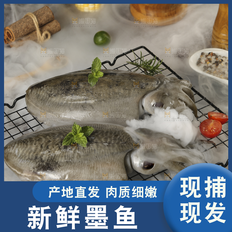 深底上放着墨鱼