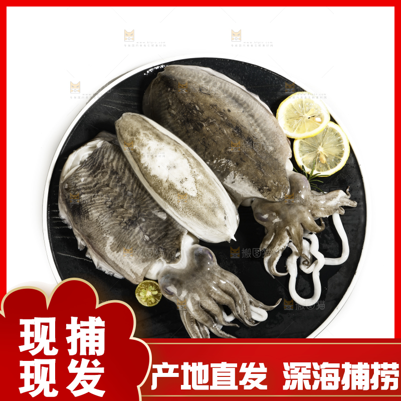 白底上放着一盘北海墨鱼