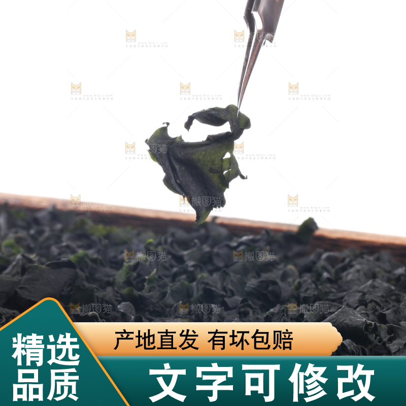 夹子夹着的裙带菜