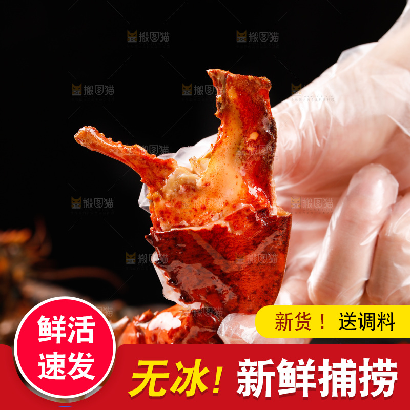 手上拿着澳洲龙虾