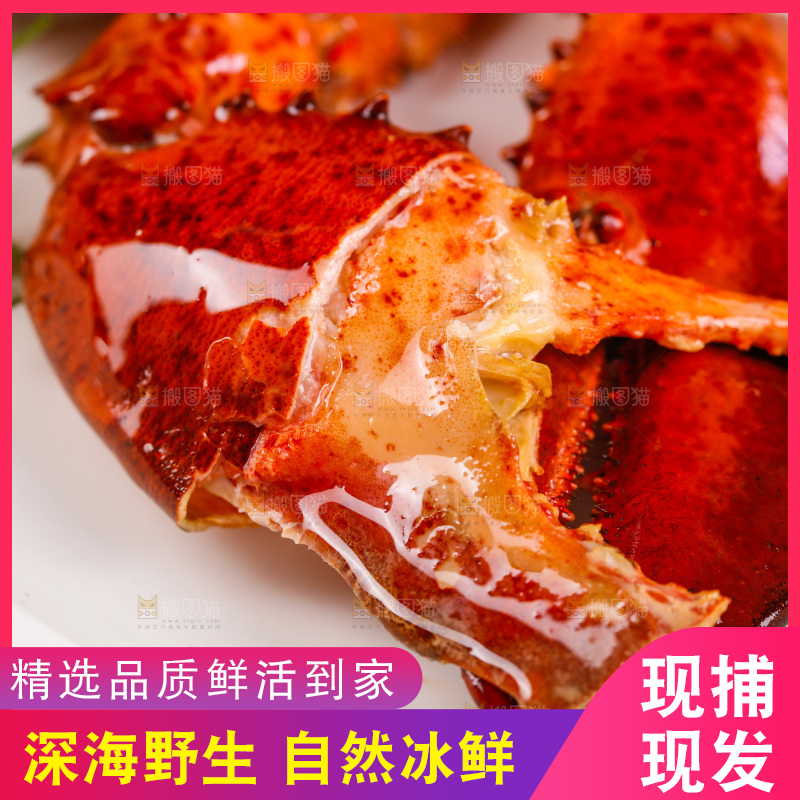 白底上放着波士顿大龙虾