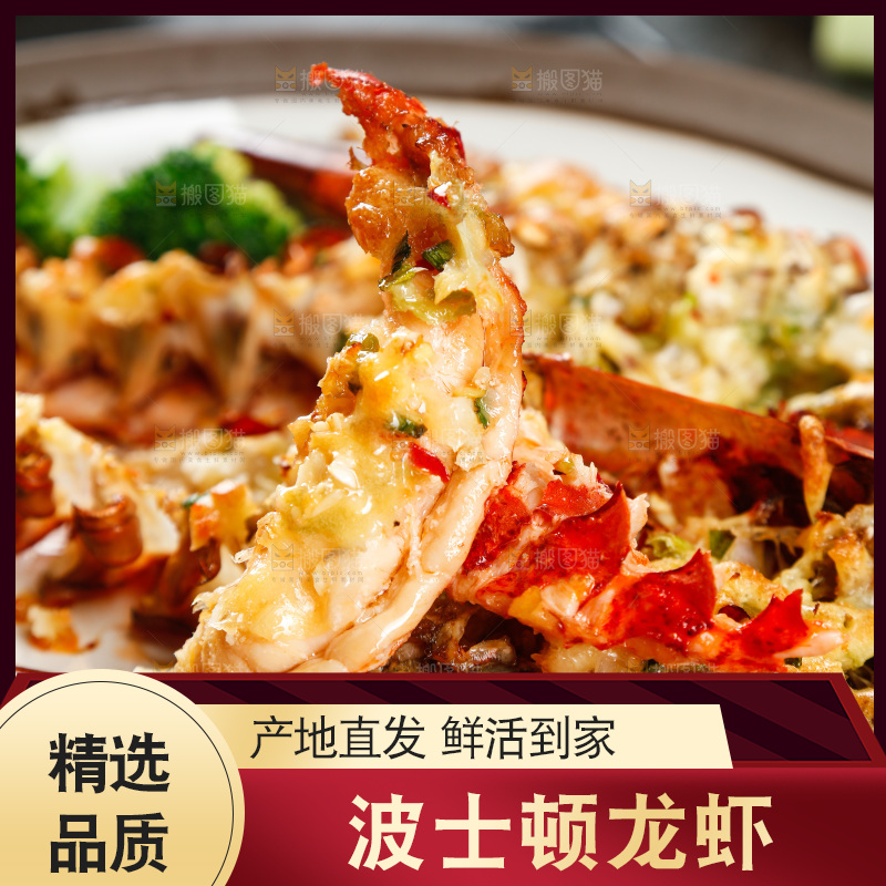 叉子上叉着波士顿龙虾肉