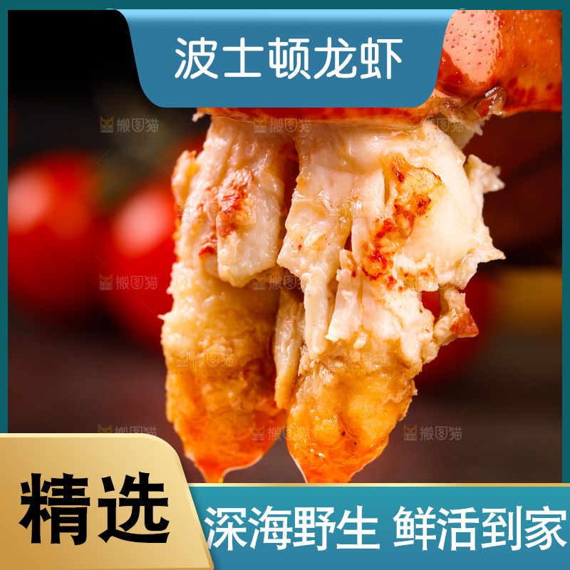 手上拿着波士顿龙虾