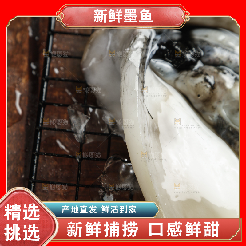 深底上放着北海墨鱼