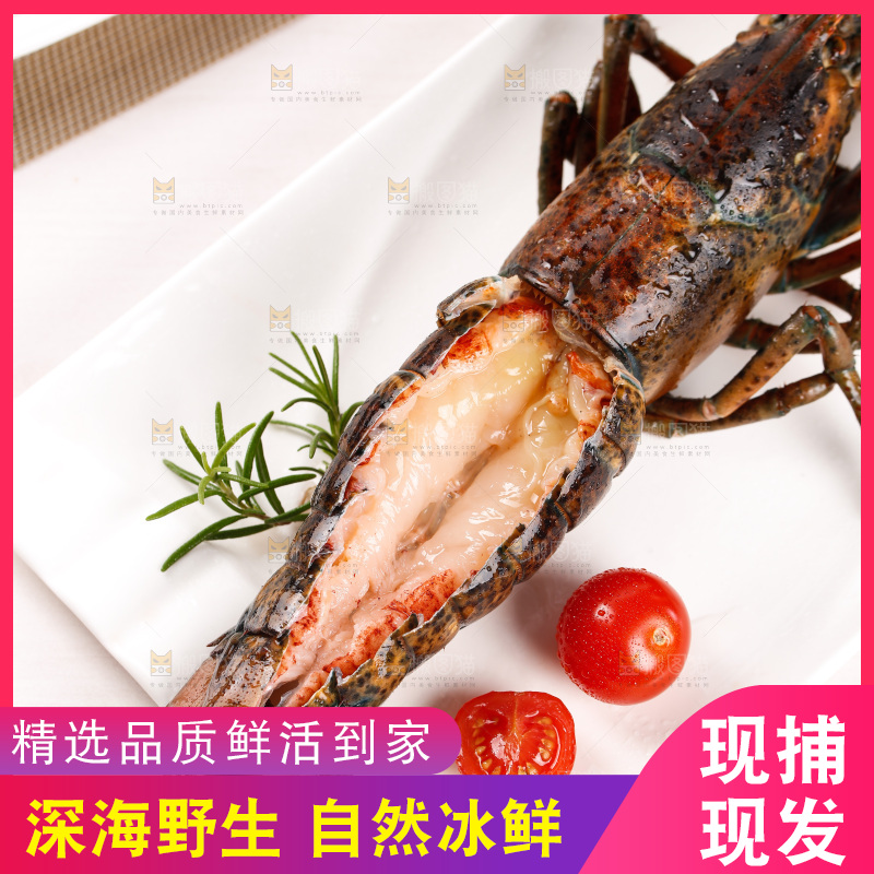 白底上放着澳洲大龙虾