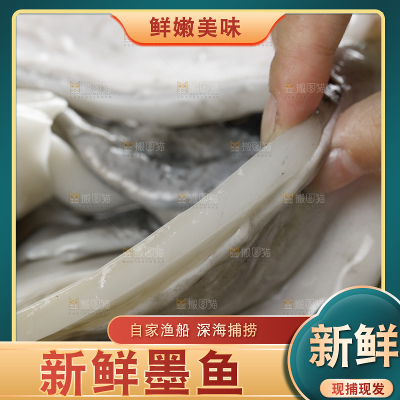手拿着的野生大墨鱼