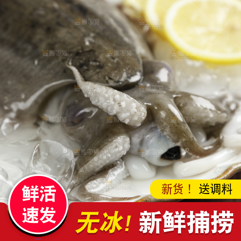 木底上放着一盘大墨鱼