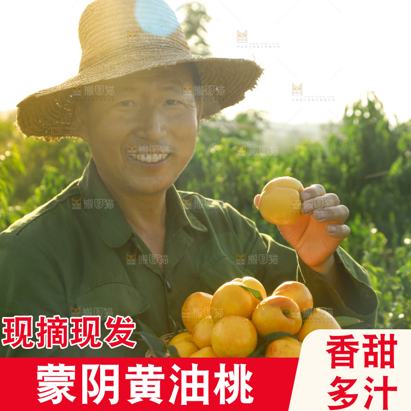 农民手上端着一筐黄油桃