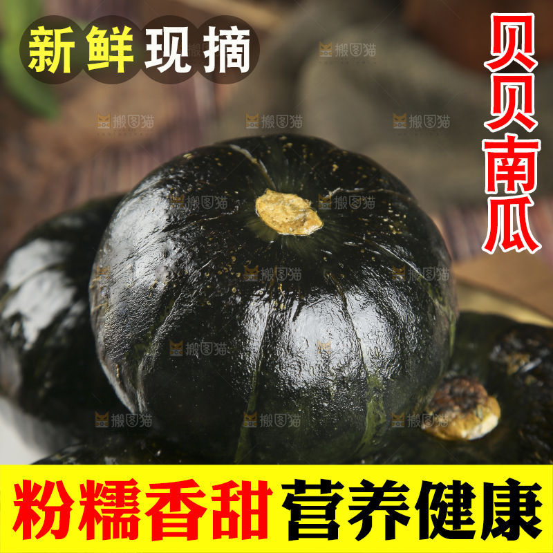 新鲜的贝贝南瓜
