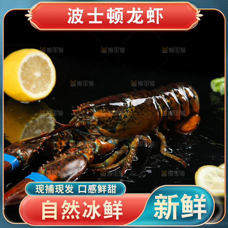 黑底上放着波士顿大龙虾