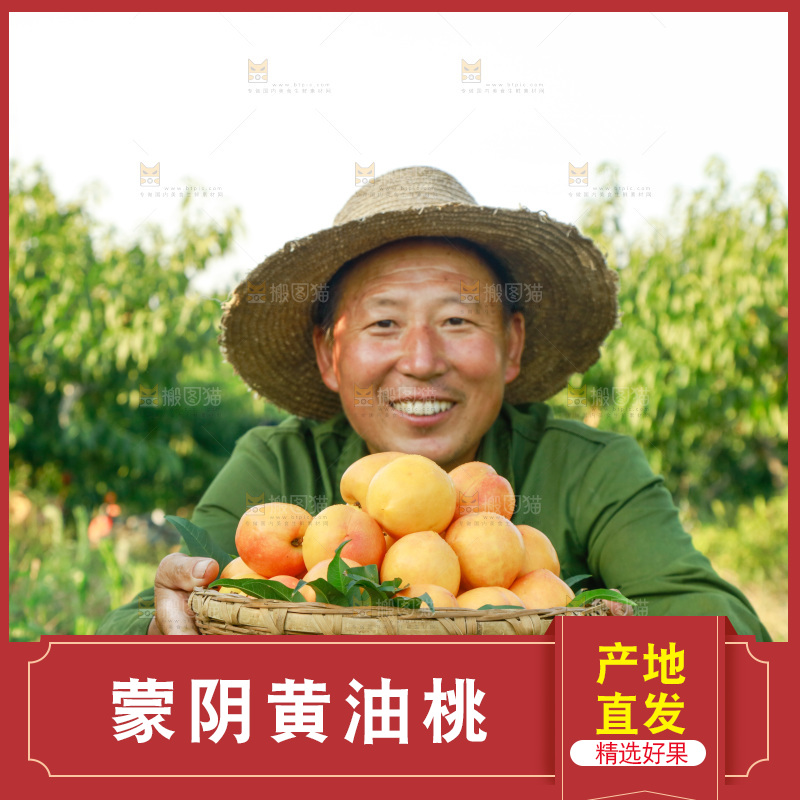 农民手上端着一筐黄油桃