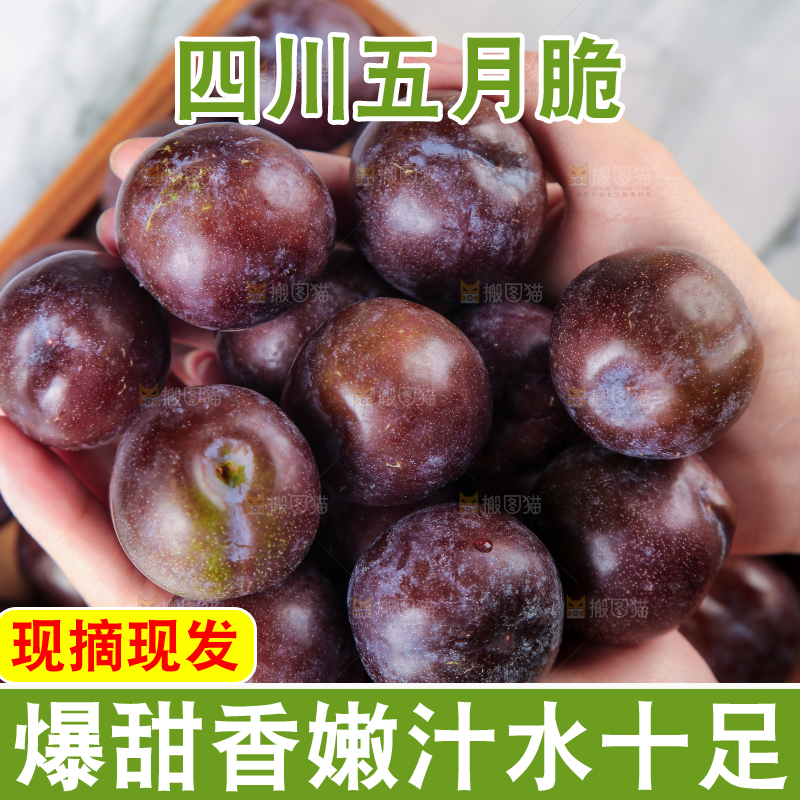手上捧着五月脆李