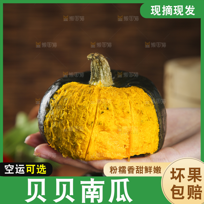 手上拿着贝贝南瓜