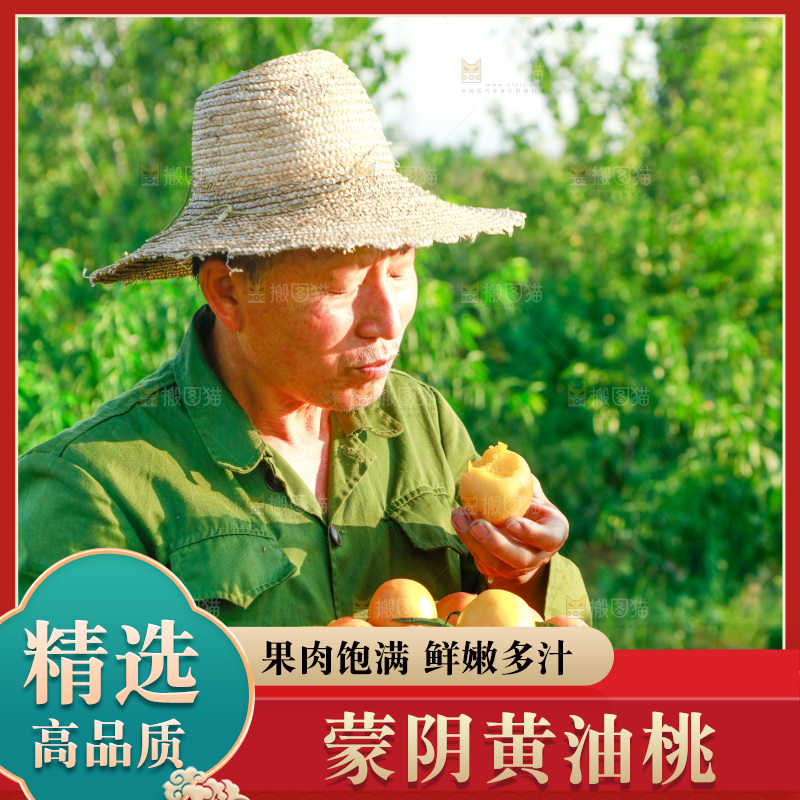 农民正在吃黄油桃
