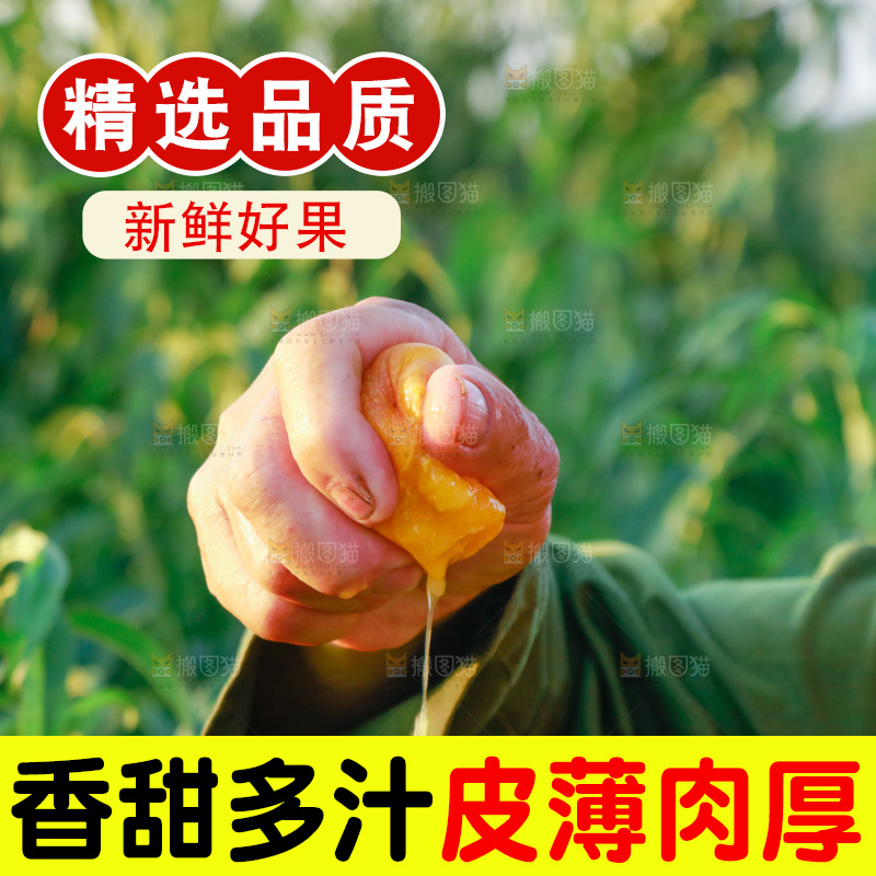 手上拿着黄心油桃