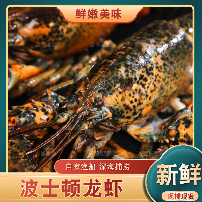 盘子里放着澳洲龙虾