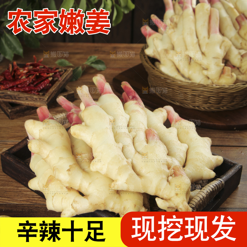 木板上放着山东嫩姜