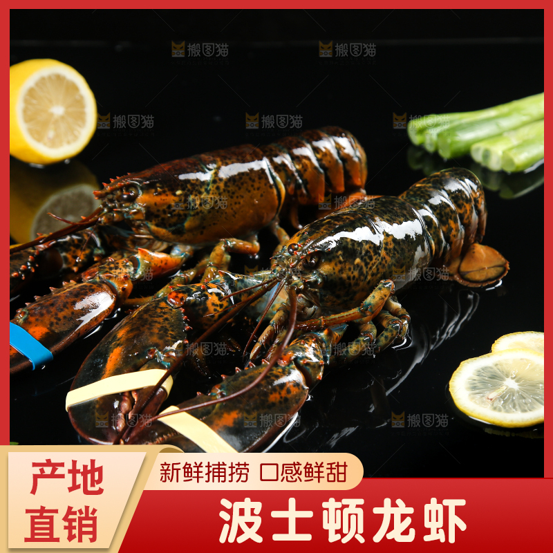 黑底上放着波士顿大龙虾