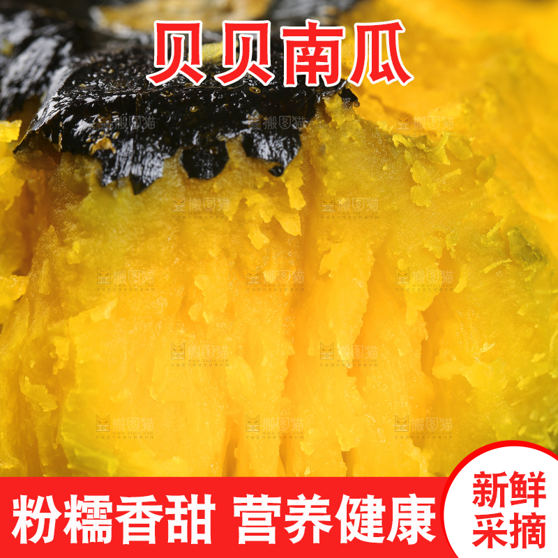 新鲜的贝贝南瓜