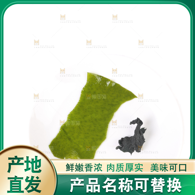 白底上放着一盘海带和裙带菜