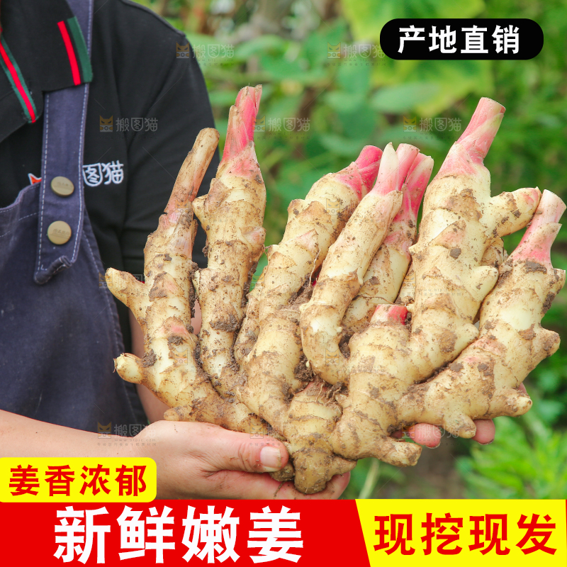 阿姨手上抱着嫩姜