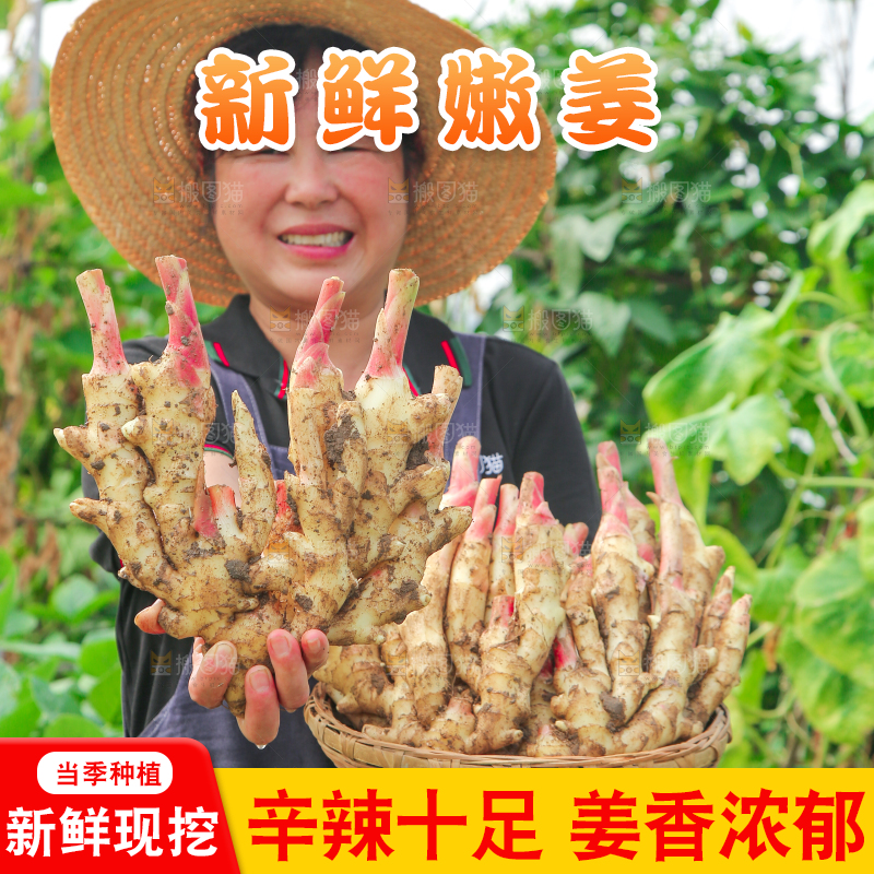 手上拿着嫩姜