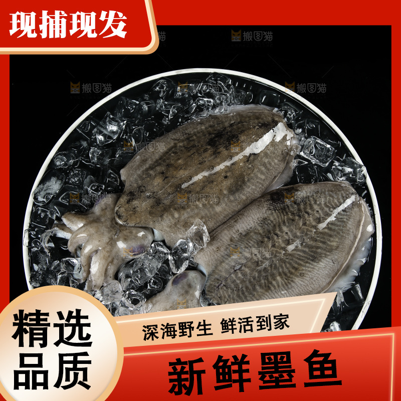 黑底上放着一盘北海墨鱼