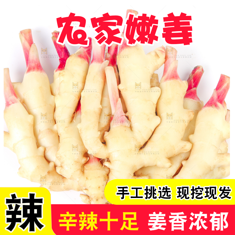 白底上放着红芽嫩姜