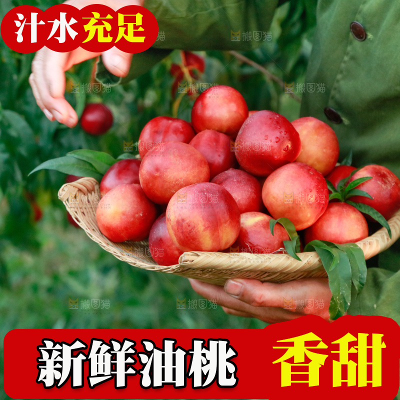 农民手上抱着一筐红油桃