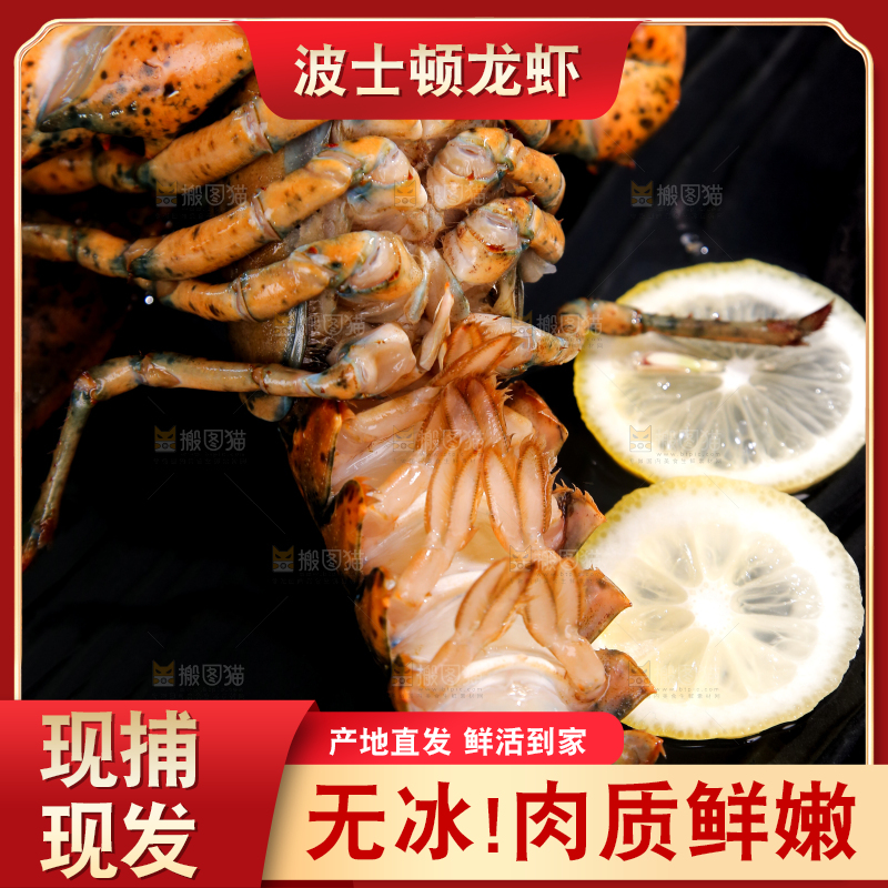 黑底上放着一盘澳洲龙虾