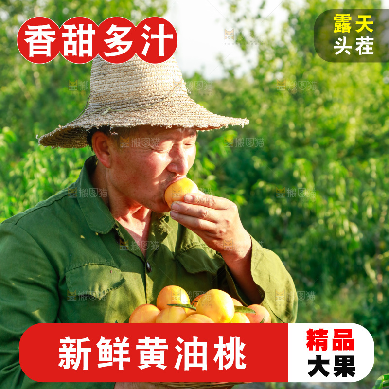 农民正在吃黄油桃