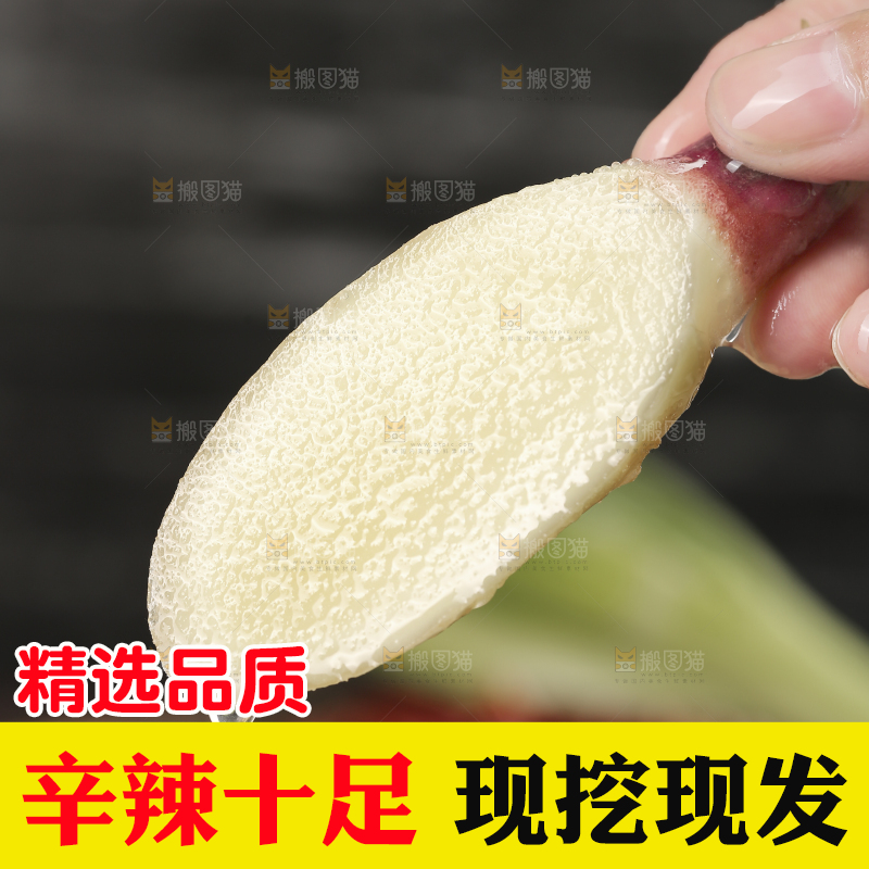 手上拿着的嫩姜片